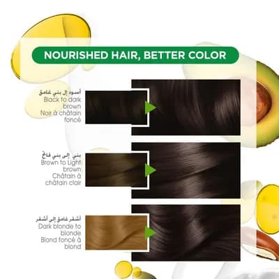 Garnier Color Naturals 1 Black Hair Colour