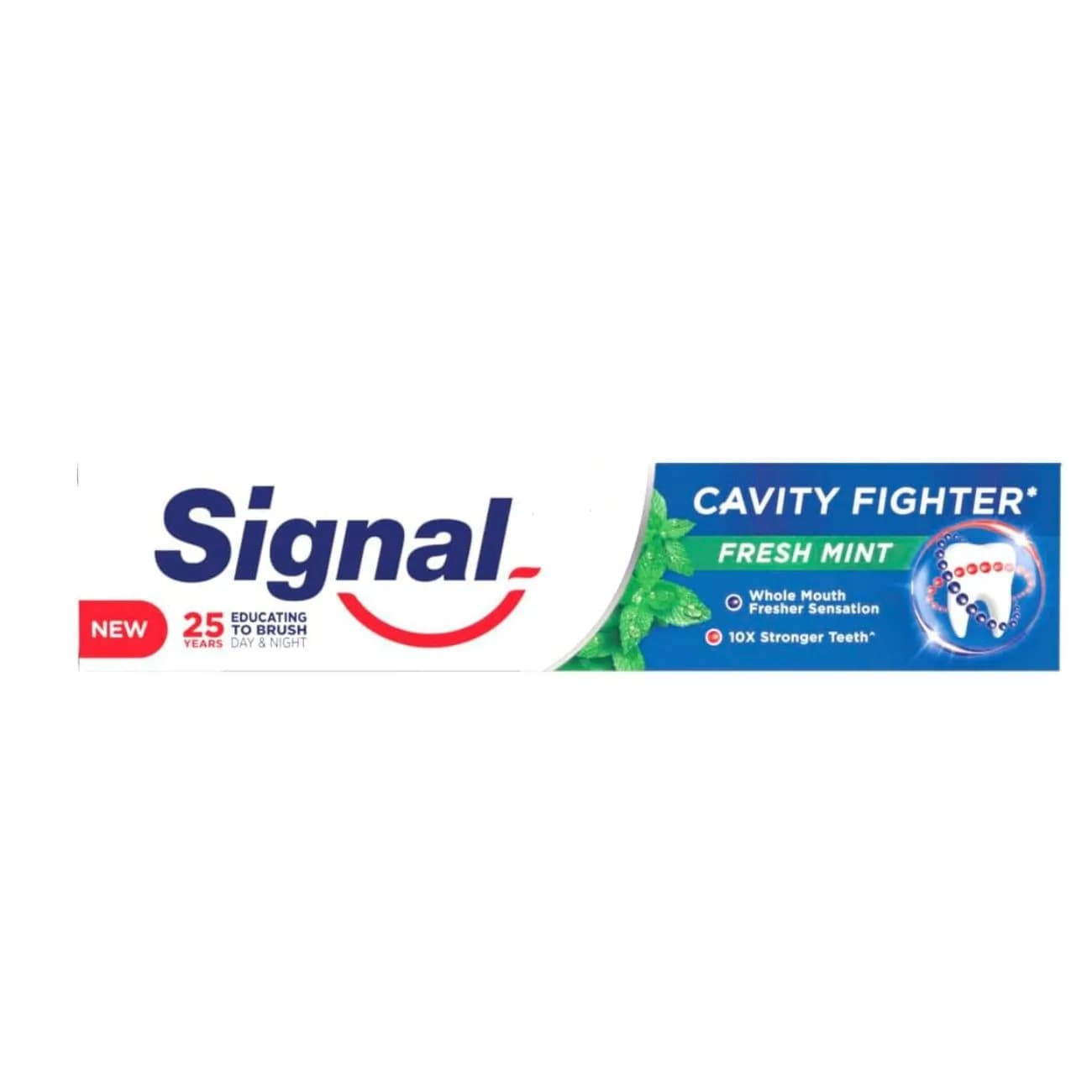 Signal Cavity Fighter Herbal Miswak Toothpaste