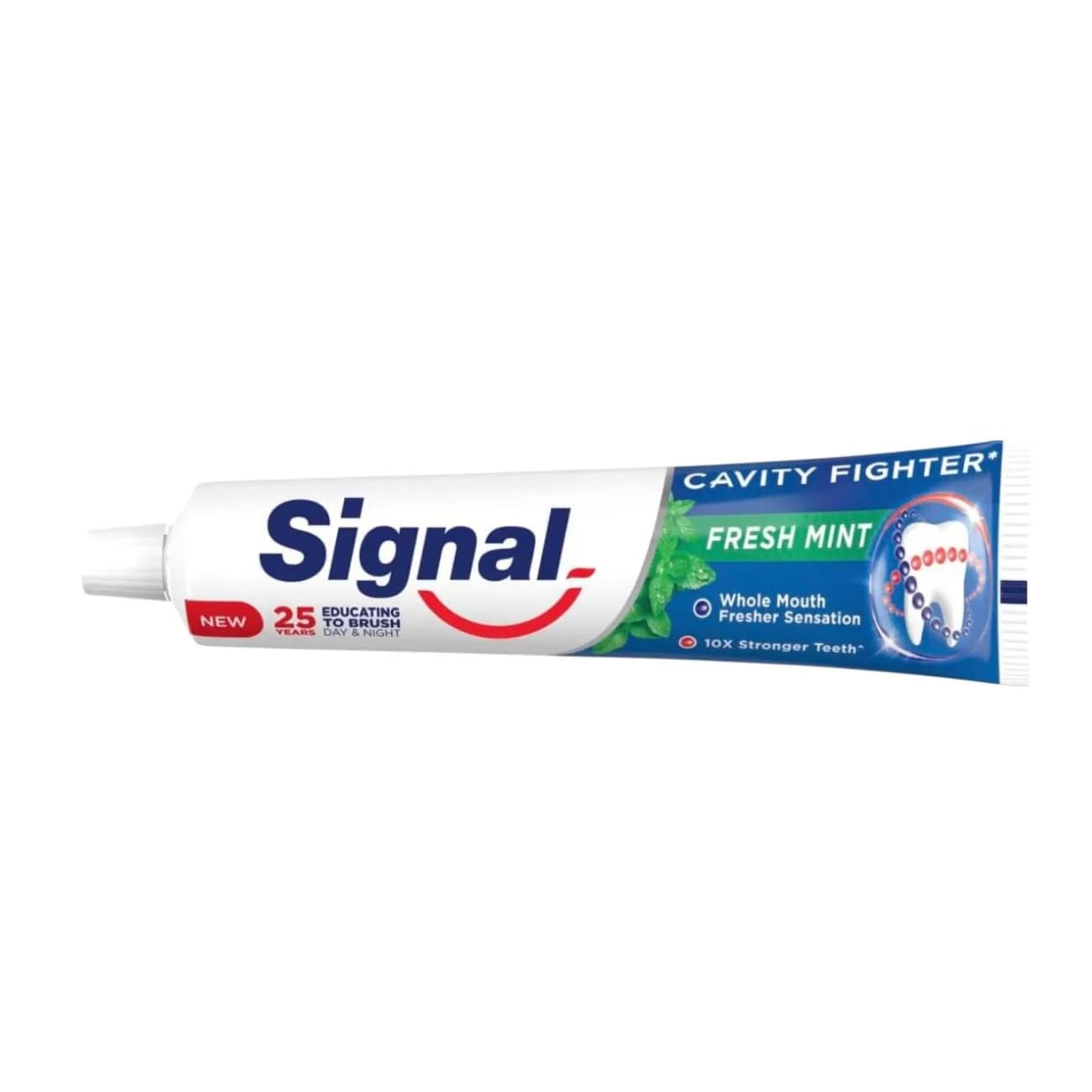 Signal Cavity Fighter Herbal Miswak Toothpaste